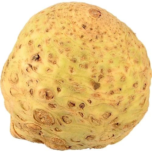 Корінь селери